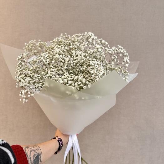 Gypsophila Monobook