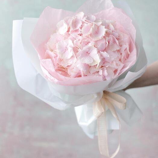 Ramo de Hortensia rosa XS