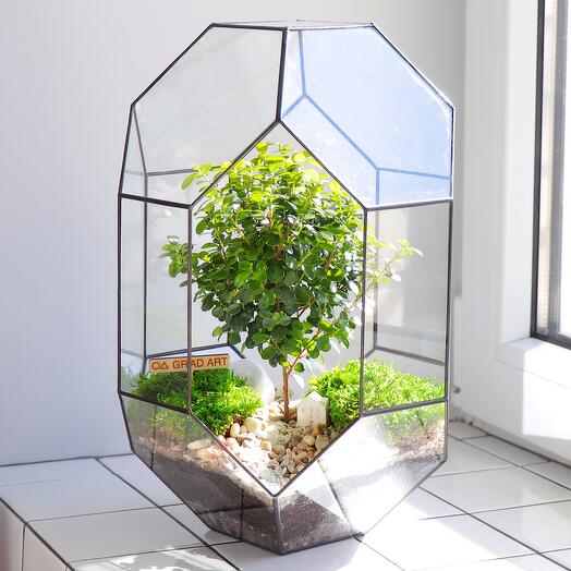 Prometheus M Bonsai | Mirsina