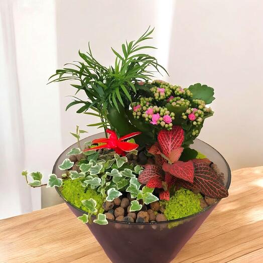 Mini Jardin Tropical