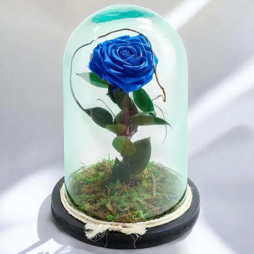 Rosa Azul Encantada