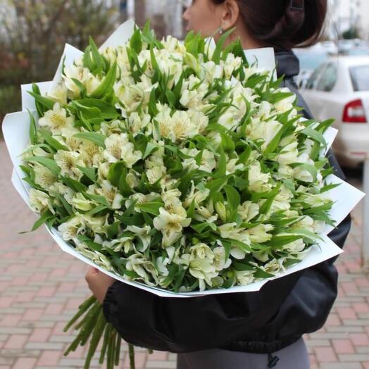 Альстромерия Белый Букет