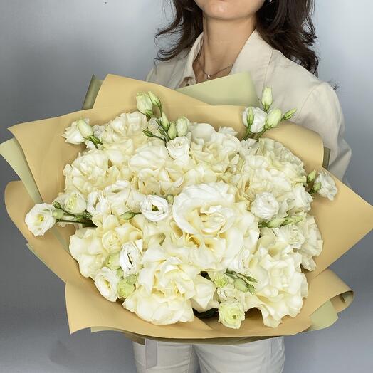 French roses