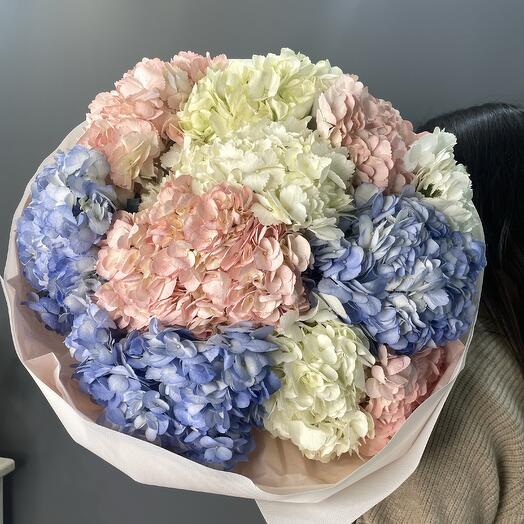 Букет из гортензии (11 стеблей)