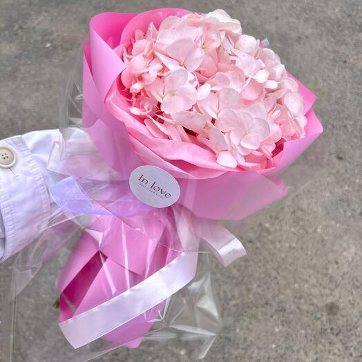 Гортензия розовая💗