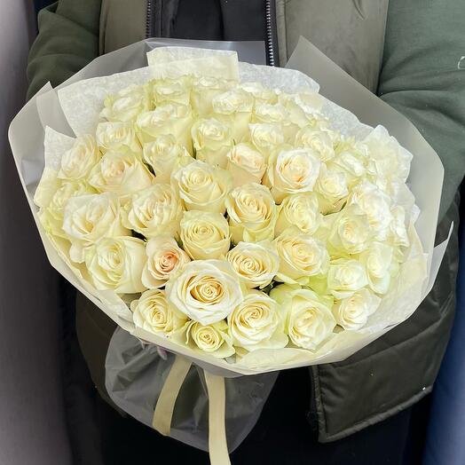 51 white Roses