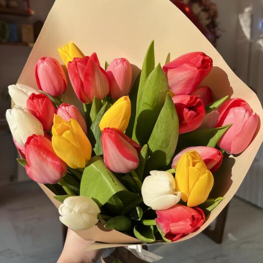 Тюльпаны микс 25 штук 😍