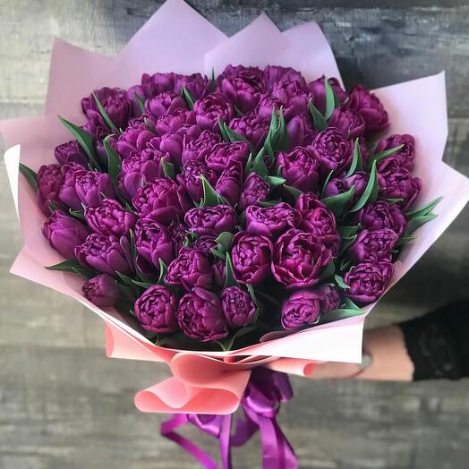 Темно фиоллетовые тюльпаны51
