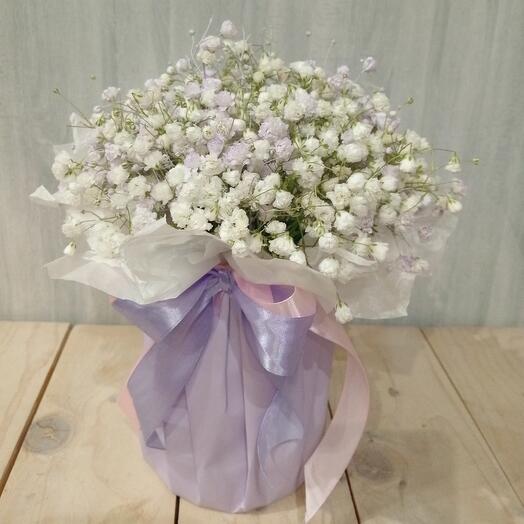 A cloud of gypsophila