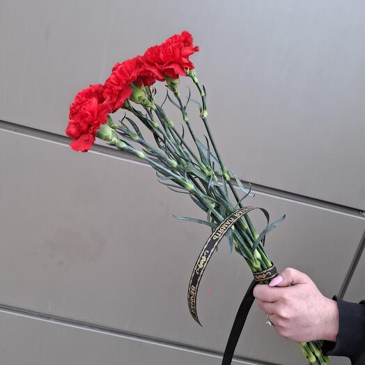 Гвоздика красная 1головая