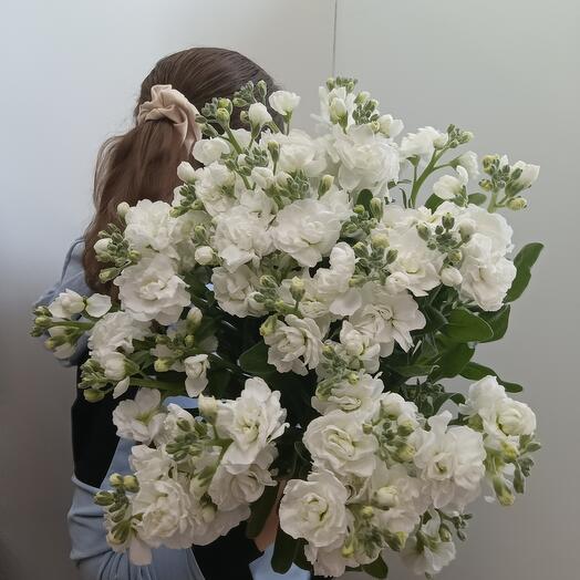 Букет ароматных  маттиол кустовых