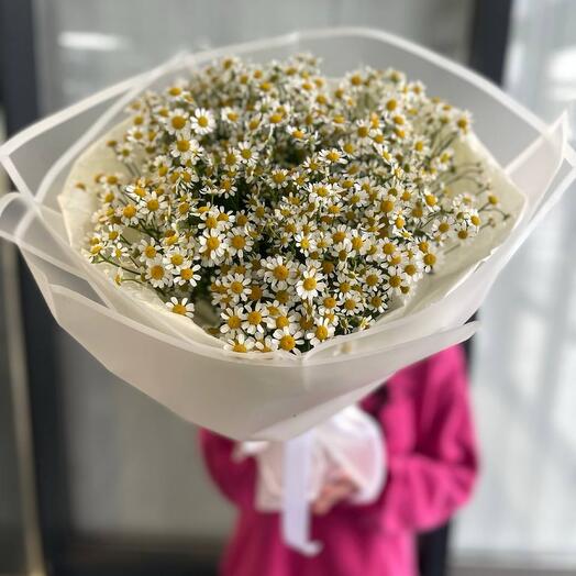 Милые ромашки