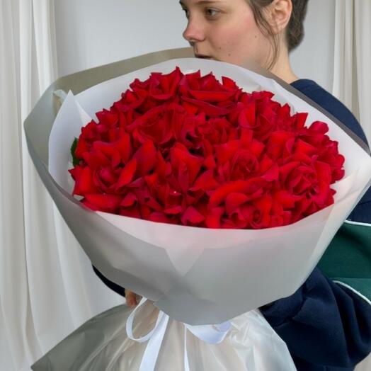 Роза французская