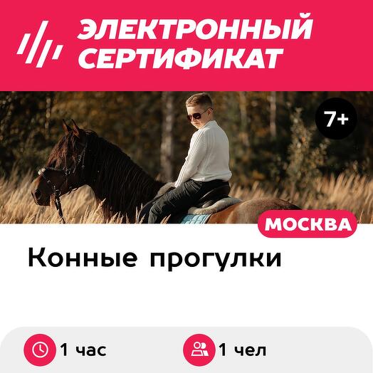 Подарочный сертификат Индивидуальная конная прогулка в поля для 1 чел. (1 час) (Московская область)