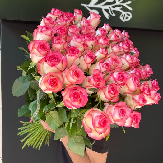 Rose jumilia