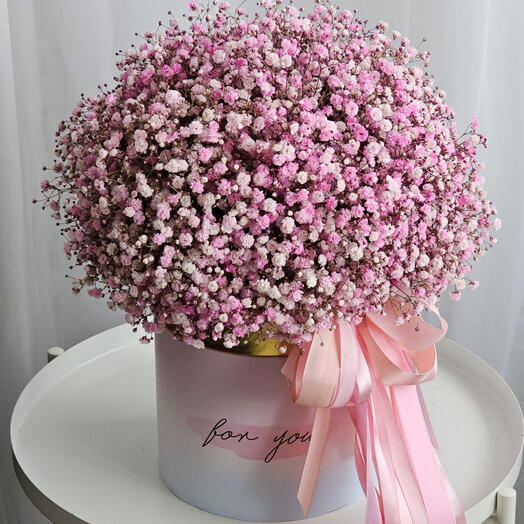 Pink gypsophila in a box