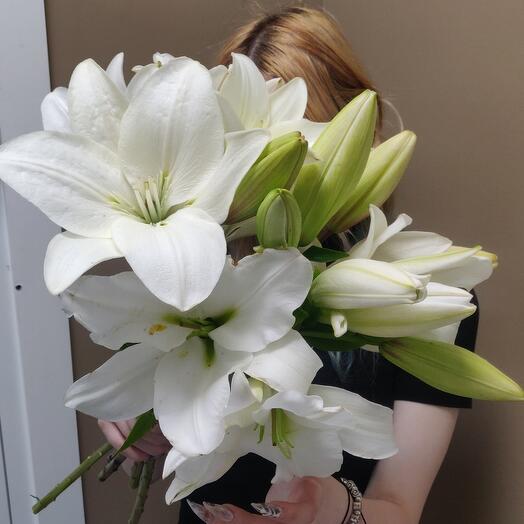 Огромная белая фермерская лилия (5 шт)
