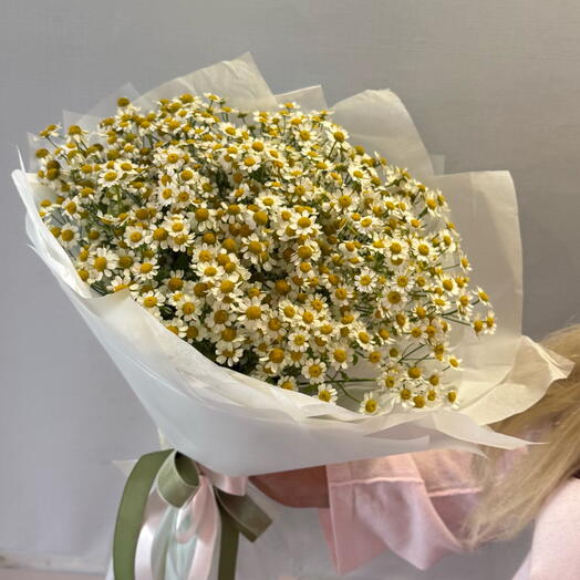 Ромашковое чудо