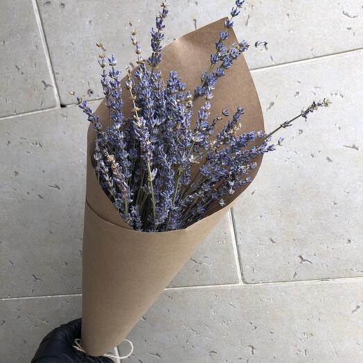 Лаванда сухоцвет🪻🪻🪻