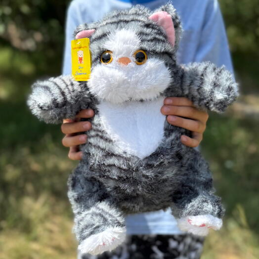 Мягкая игрушка плюшевый кот серый. Soft plush toy cat grey