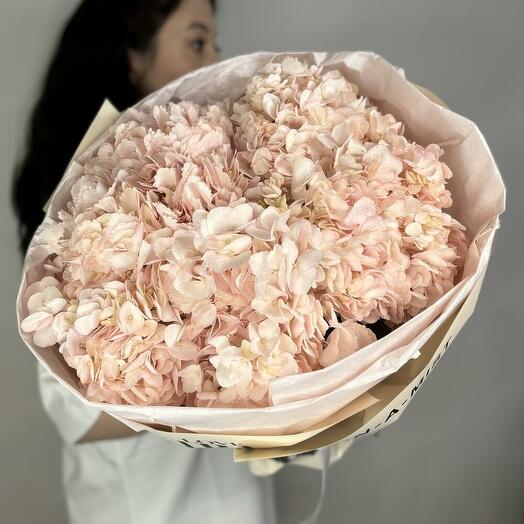Powder-pink hydrangea (5 pcs)