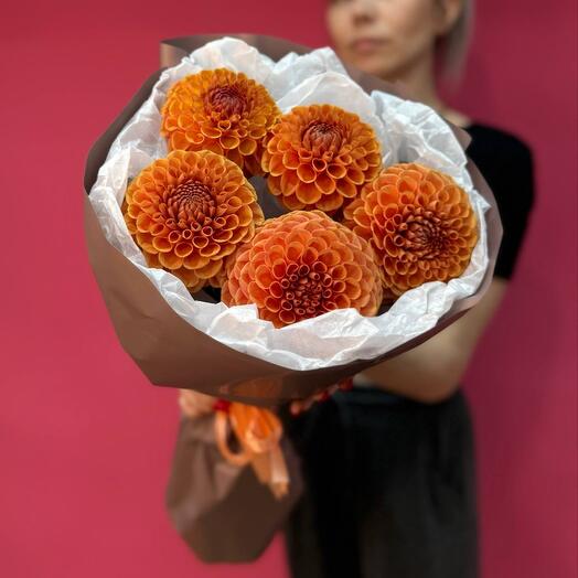 Георгины 🌷