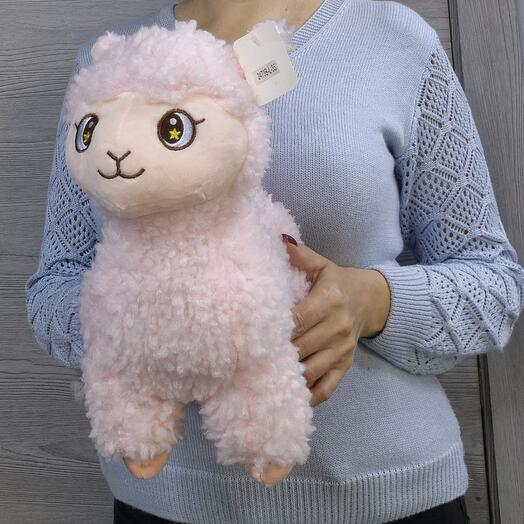 Овечка