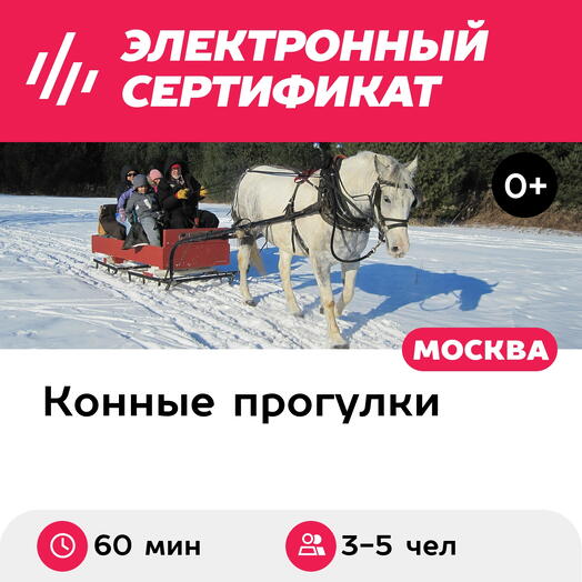 Подарочный сертификат Катание в экипаже или в санях для 3-5 чел. (60 мин.) (Московская область)