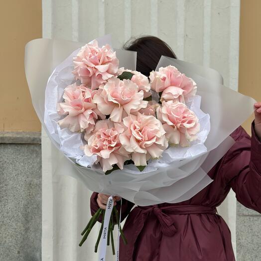 9 нежных розовых французских роз сорта Пинк Мондиаль