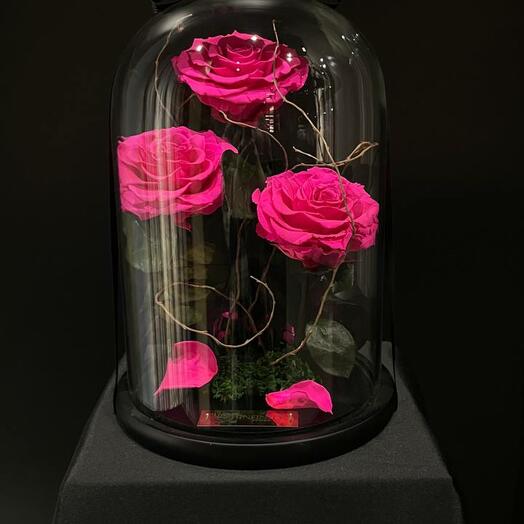 «Fuchsia Passion Dome»