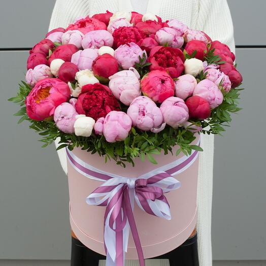 Коробка из красных, розовых, белых, коралловых пионов Королевские цветы