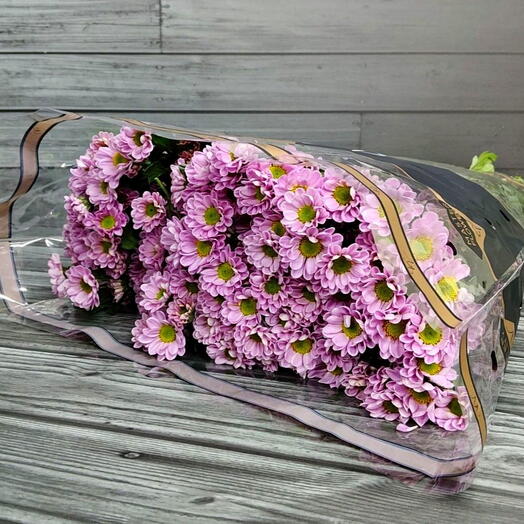 Пачка (25 шт.) Хризантема Сантини Росси Пинк 55 см Арт. Fc03455c