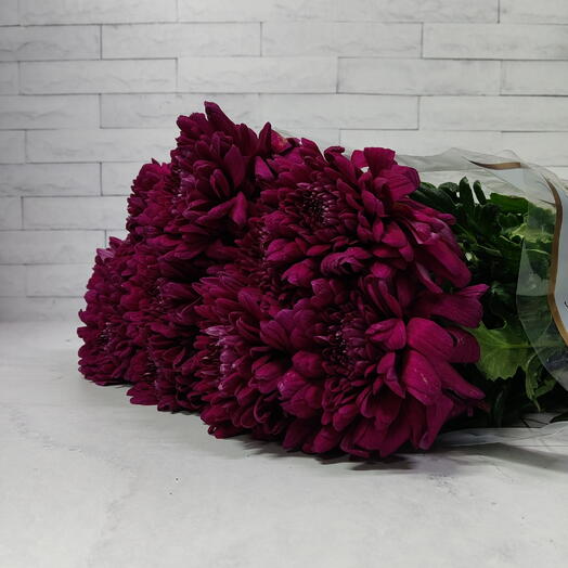 Пачка (10 шт.) Хризантема одноголовая Ламира 70 см Арт. Va1977c