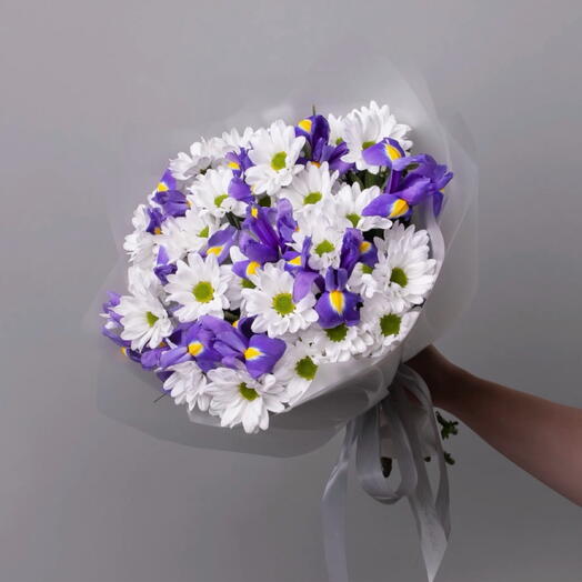 Дуобукет из белой кустовой хризантемы и синего ириса