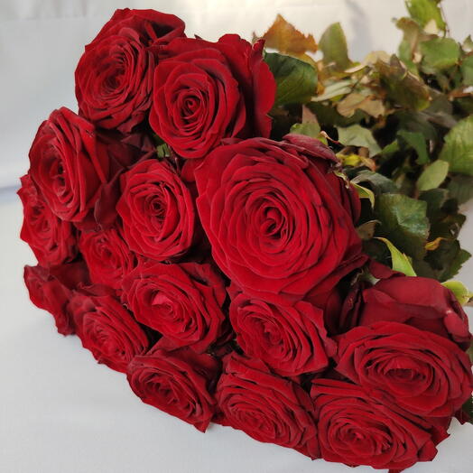 Пачка Красные розы 15 штук сорт Ред Наоми (Red Naomi), 60 см