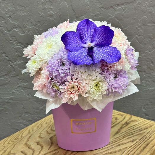 The Wanda Orchid in a box
