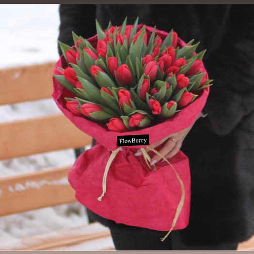 Алые тюльпаны