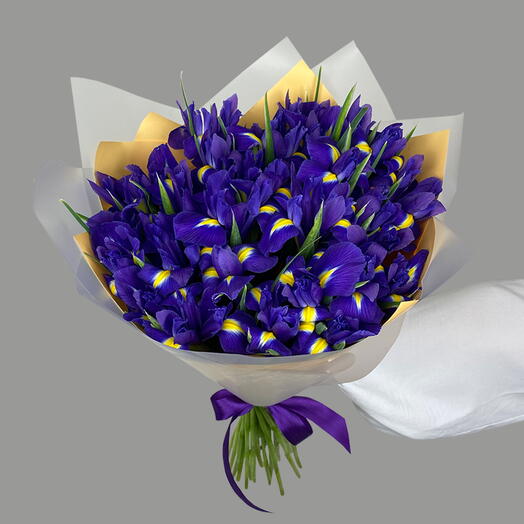 Ramo de iris 29 piezas