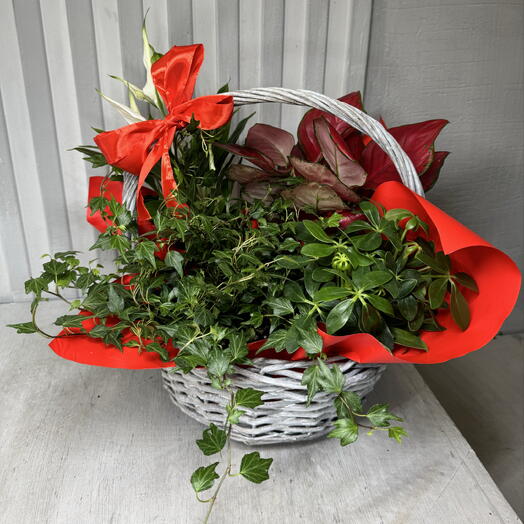 Корзина ко дню святого Валентина
