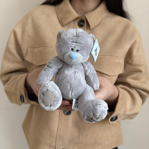 Плюшевый мишка Teddy