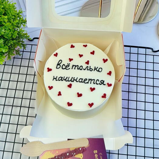 Бенто-торт парню,девушке,на день рождения,женщине ,мужчине «Все только начинается»