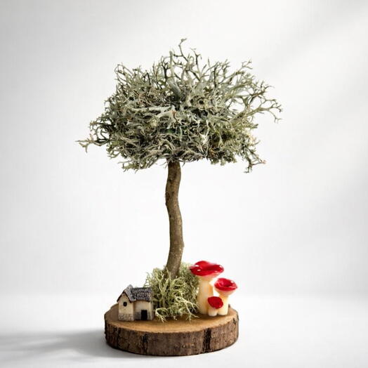 Живое дерево из цетрарии (лишайник) на деревянном спиле — эко‑декор