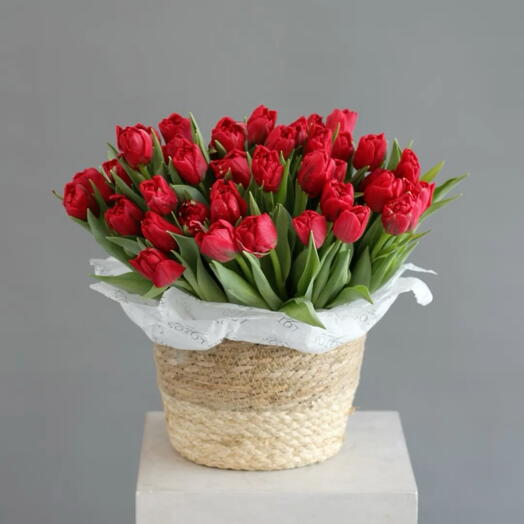 Тюльпаны в кашпо 51