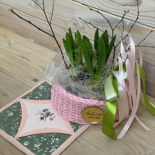 Подарок любимой маме 8 марта гиацинты цветущие