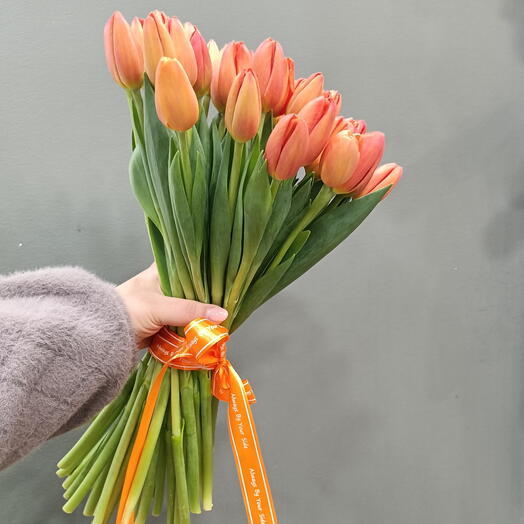 Тюльпаны оранжевые, гидропоника