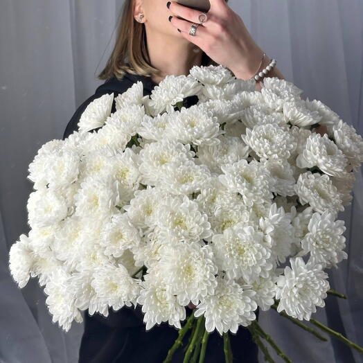 Моно букет из белоснежной хризантемы «Алтай»