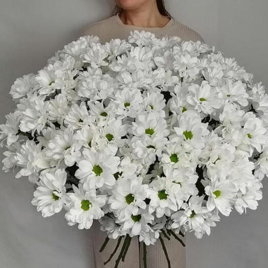 Большой монобукет  из 19 ромашковых хризантем под ленту