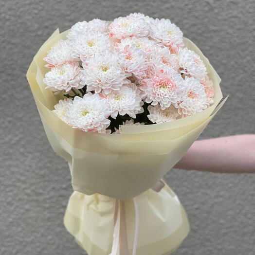 Хризантема кустовая крашеная бежевая