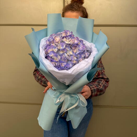 Гортензия + сладкий подарок 🎁