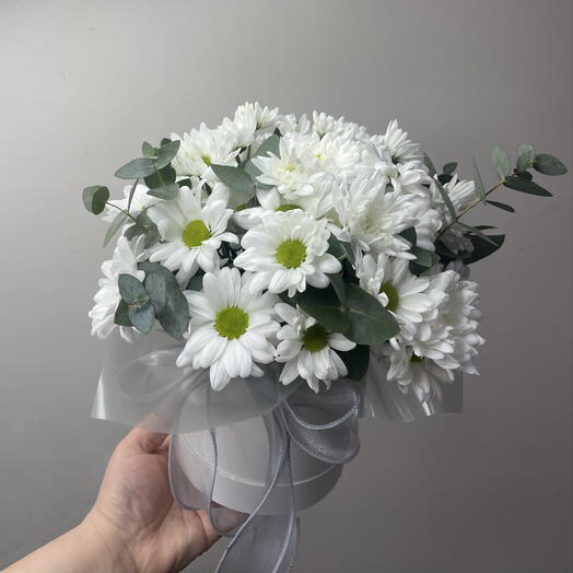 Стойкие хризантемы